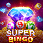 Super Bingo free play